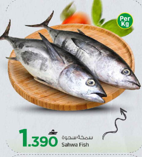 available at مارك & سايف in عُمان - مسقط‎
