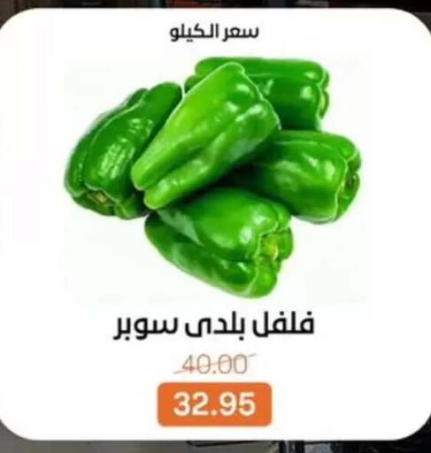 available at Beit El Gomla in Egypt - Cairo
