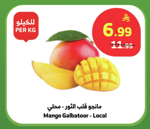 Mango available at الراية in مملكة العربية السعودية, السعودية, سعودية - نجران