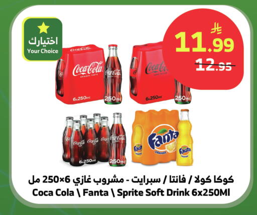 Orange available at الراية in مملكة العربية السعودية, السعودية, سعودية - بيشة