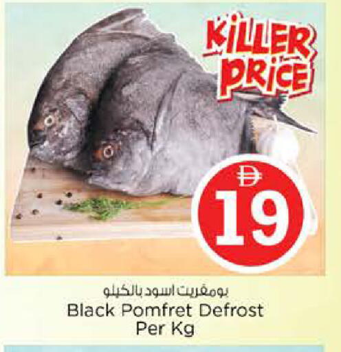 available at نستو هايبرماركت in الإمارات العربية المتحدة , الامارات - دبي