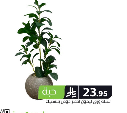 available at Family Discount in KSA, Saudi Arabia, Saudi - Riyadh