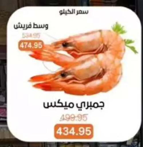 available at بيت الجملة in Egypt - القاهرة