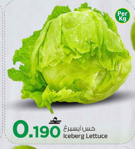 Lettuce available at مارك & سايف in عُمان - مسقط‎