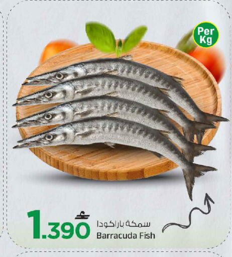 available at مارك & سايف in عُمان - مسقط‎