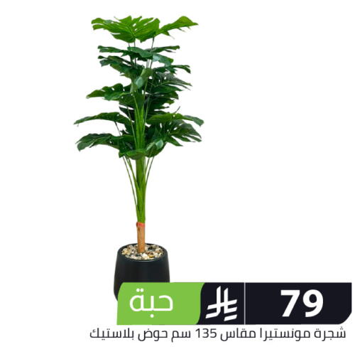 available at Family Discount in KSA, Saudi Arabia, Saudi - Riyadh