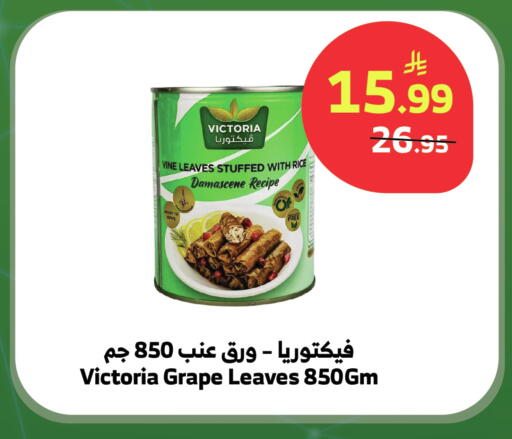 available at الراية in مملكة العربية السعودية, السعودية, سعودية - بيشة