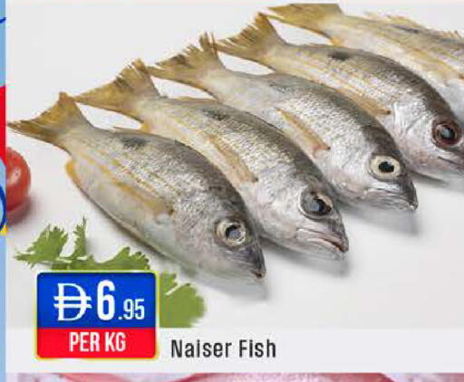 available at ويست زون سوبرماركت in الإمارات العربية المتحدة , الامارات - أبو ظبي