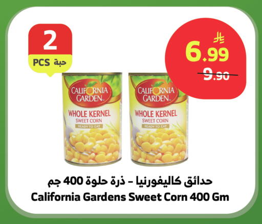 available at الراية in مملكة العربية السعودية, السعودية, سعودية - بيشة