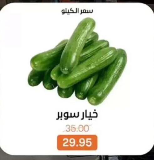 available at Beit El Gomla in Egypt - Cairo