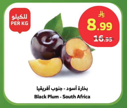 Plum from South Africa available at الراية in مملكة العربية السعودية, السعودية, سعودية - بيشة