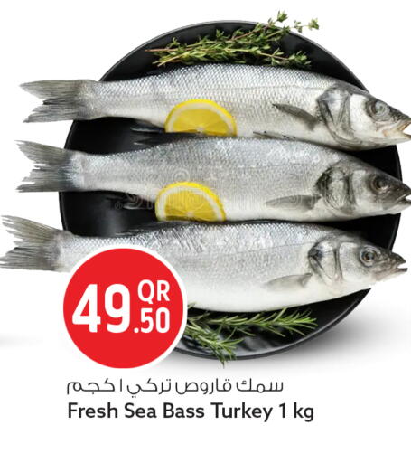 available at سفاري هايبر ماركت in قطر - الوكرة