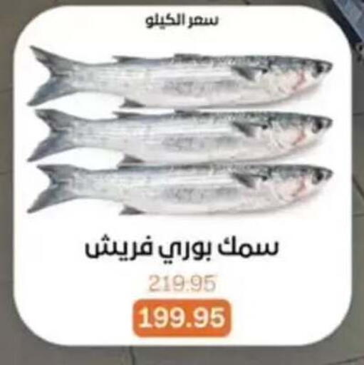 available at Beit El Gomla in Egypt - Cairo