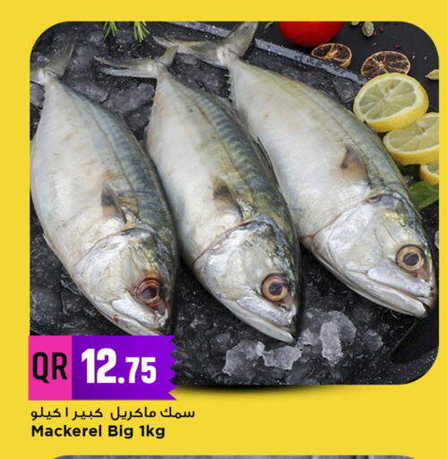 available at Marza Hypermarket in Qatar - Al Daayen
