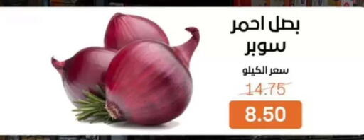 available at Beit El Gomla in Egypt - Cairo