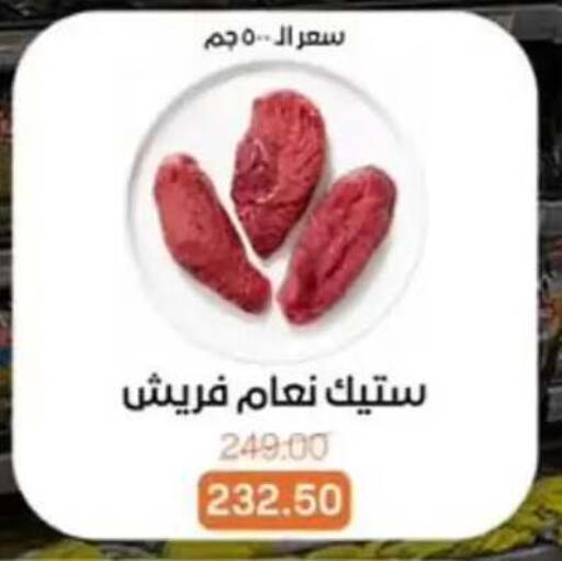 available at Beit El Gomla in Egypt - Cairo