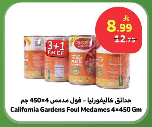 available at الراية in مملكة العربية السعودية, السعودية, سعودية - بيشة