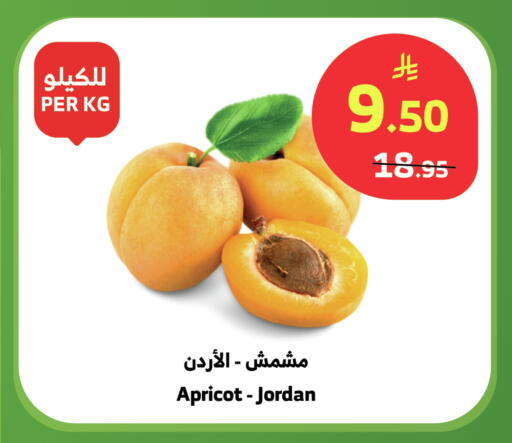 Apricot from Jordan available at الراية in مملكة العربية السعودية, السعودية, سعودية - نجران