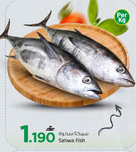 available at مارك & سايف in عُمان - مسقط‎