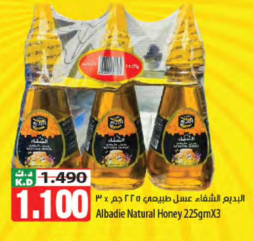 Mango available at Mango Hypermarket  in Kuwait - Kuwait City