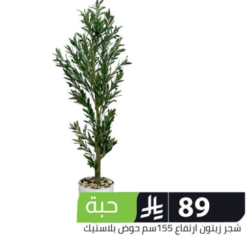 available at Family Discount in KSA, Saudi Arabia, Saudi - Riyadh