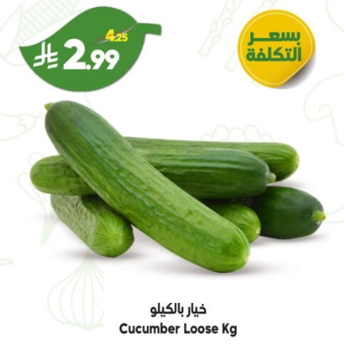 Cucumber available at الدكان in مملكة العربية السعودية, السعودية, سعودية - جدة