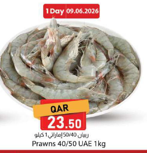 available at Dana Market in Qatar - Doha