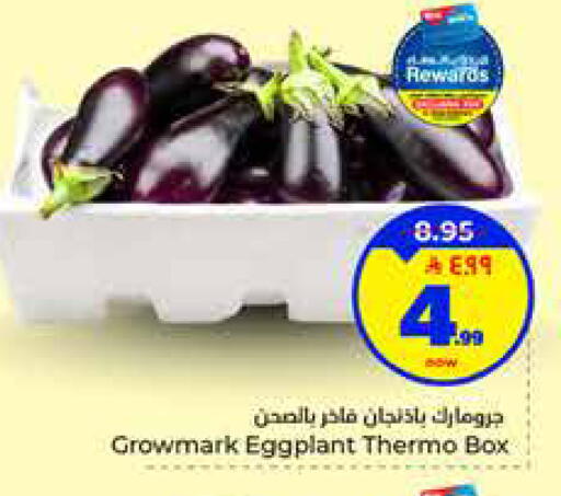 Eggplant available at هايبر الوفاء in مملكة العربية السعودية, السعودية, سعودية - الطائف