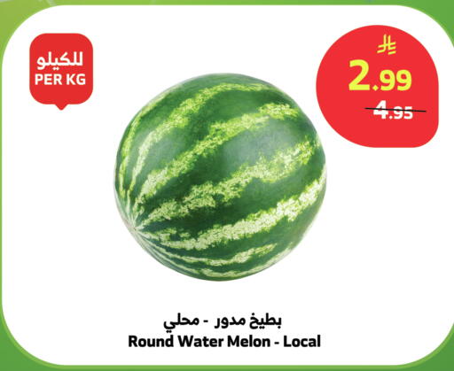 Melon available at الراية in مملكة العربية السعودية, السعودية, سعودية - نجران