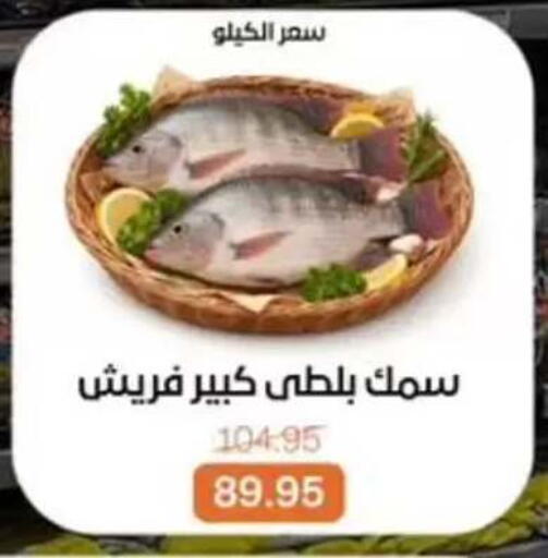 available at بيت الجملة in Egypt - القاهرة