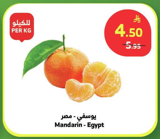 Mandarin from Egypt available at الراية in مملكة العربية السعودية, السعودية, سعودية - بيشة