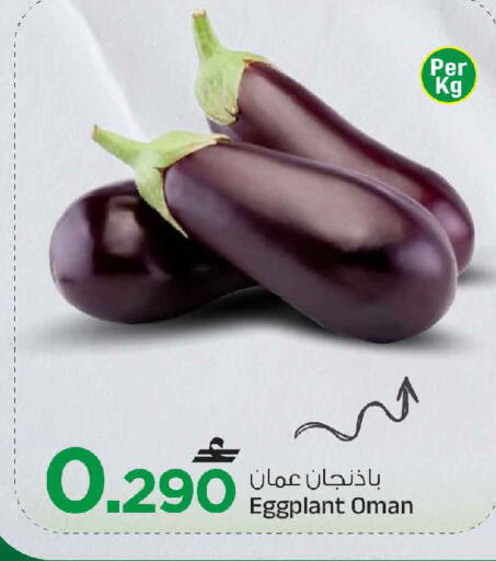 Eggplant from Oman available at مارك & سايف in عُمان - مسقط‎