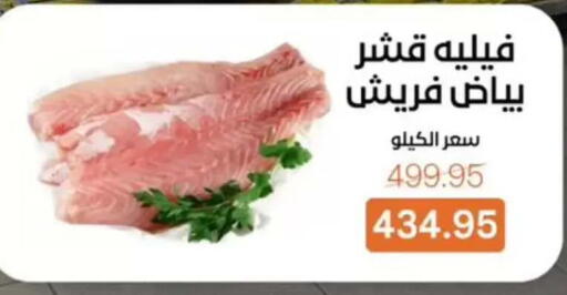 available at بيت الجملة in Egypt - القاهرة
