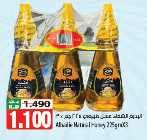 Mango available at Mango Hypermarket  in Kuwait - Kuwait City