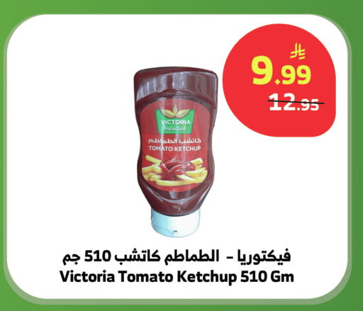 Tomato available at الراية in مملكة العربية السعودية, السعودية, سعودية - بيشة