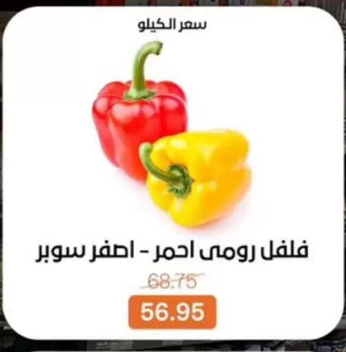 available at Beit El Gomla in Egypt - Cairo