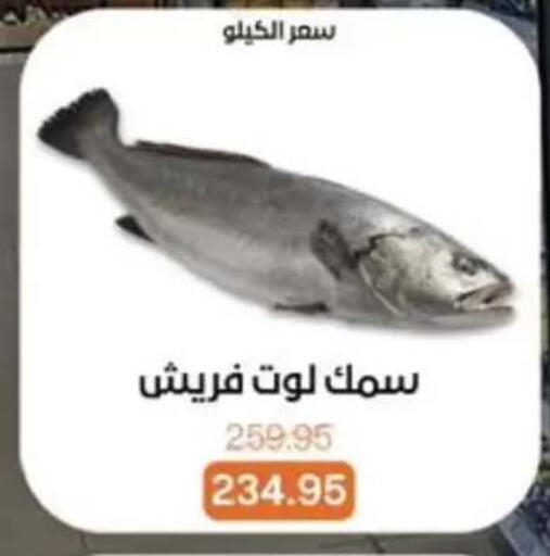 available at Beit El Gomla in Egypt - Cairo