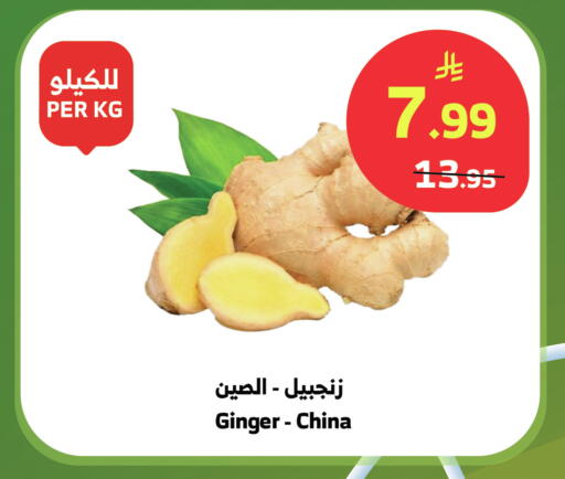 Ginger from China available at الراية in مملكة العربية السعودية, السعودية, سعودية - بيشة