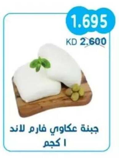 available at جمعية سلوى التعاونية in الكويت - مدينة الكويت