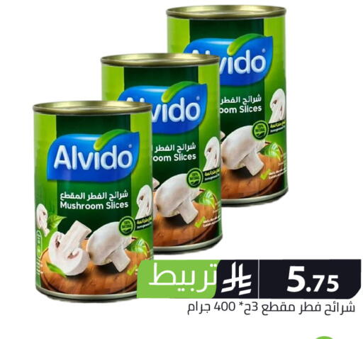 Mushroom available at Family Discount in KSA, Saudi Arabia, Saudi - Riyadh