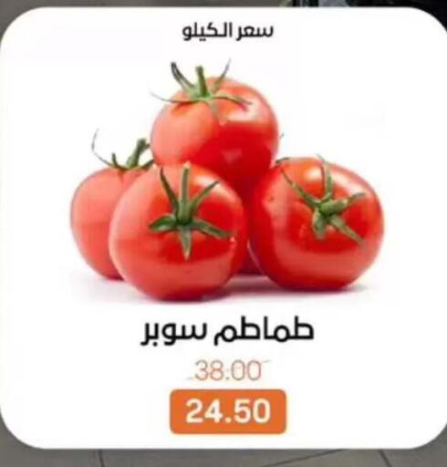 available at Beit El Gomla in Egypt - Cairo