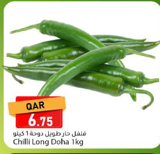 Chilli from Qatar available at دانا ماركت in قطر - الضعاين