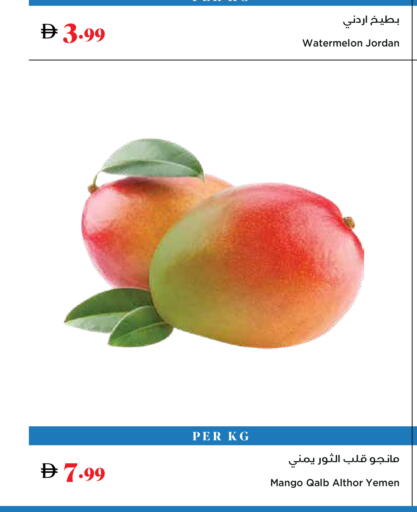 Watermelon Mango from Jordan Yemen available at Trolleys Supermarket in UAE - Sharjah / Ajman