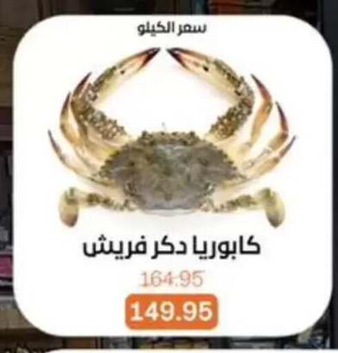 available at بيت الجملة in Egypt - القاهرة