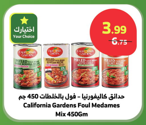 Onion available at الراية in مملكة العربية السعودية, السعودية, سعودية - بيشة