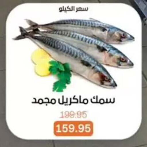 available at بيت الجملة in Egypt - القاهرة