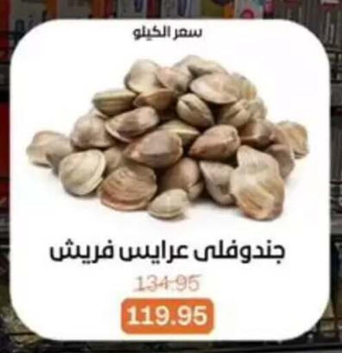 available at بيت الجملة in Egypt - القاهرة