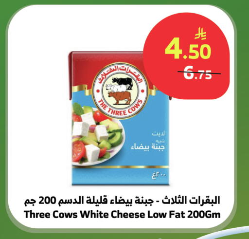 available at الراية in مملكة العربية السعودية, السعودية, سعودية - نجران