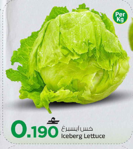 Lettuce available at مارك & سايف in عُمان - مسقط‎