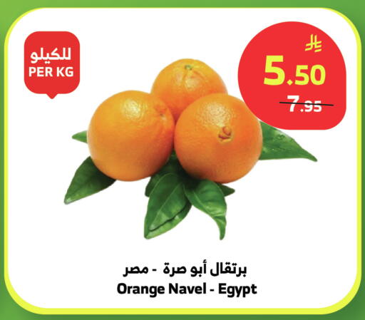 Orange from Egypt available at الراية in مملكة العربية السعودية, السعودية, سعودية - بيشة